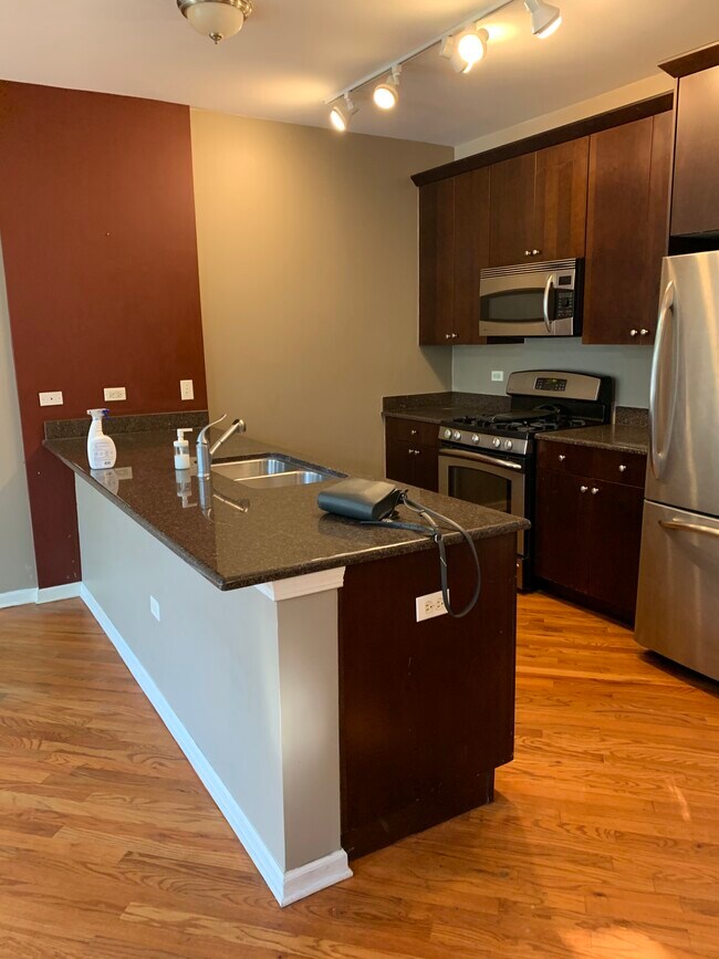 Building Photo - 1451 S Halsted St