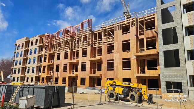 Primary Photo - Meridian Cary