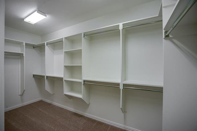 Building Photo - 3412 Damsel Sauvage Ln