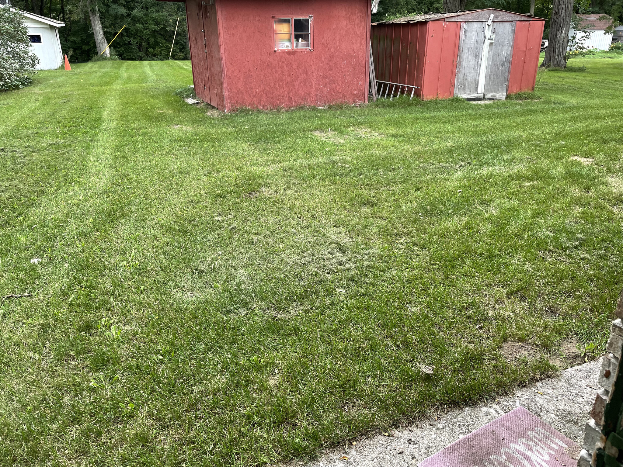 Yard (view from door) - 3050 J Maddy Pky