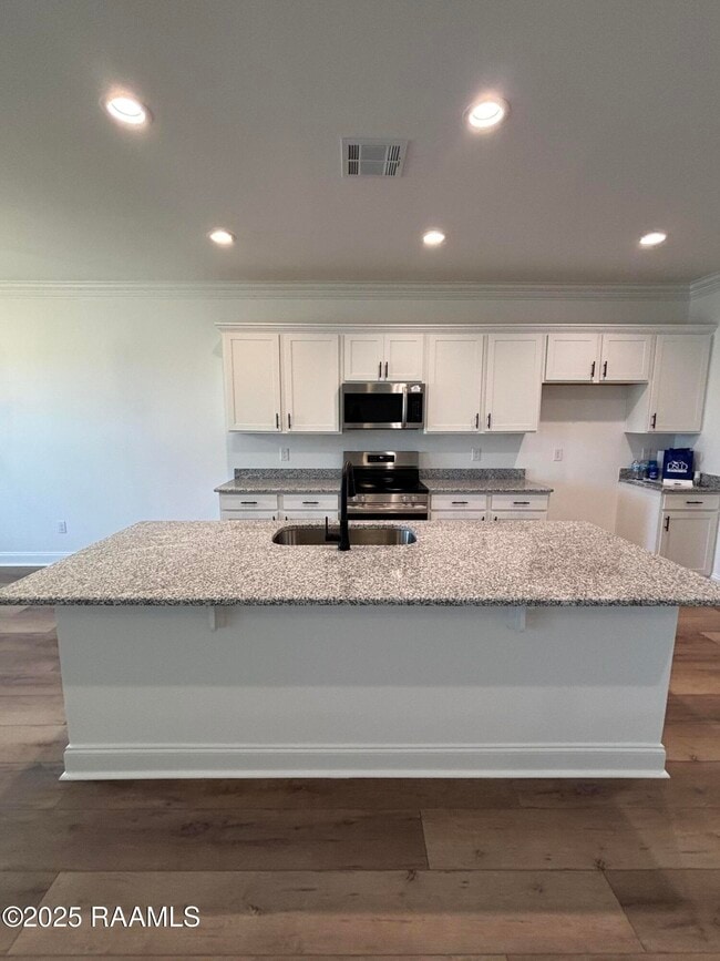 Building Photo - 206 Yellowfin Ln