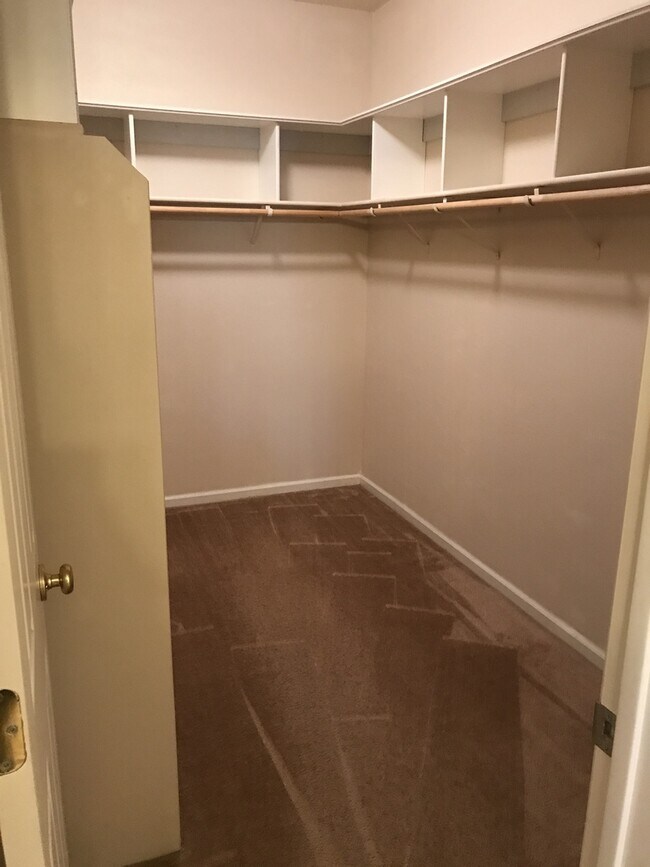 Building Photo - Beautiful 4 Bedroom, 2.5 Bath Master BR downstairs Tracy Home