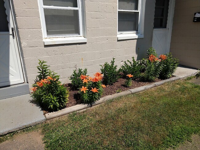 Building Photo - 21 Cannon Rd