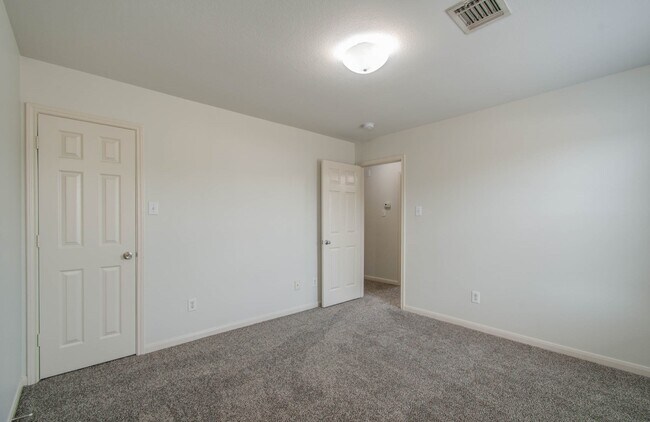 Building Photo - 4239 Nueces River Loop