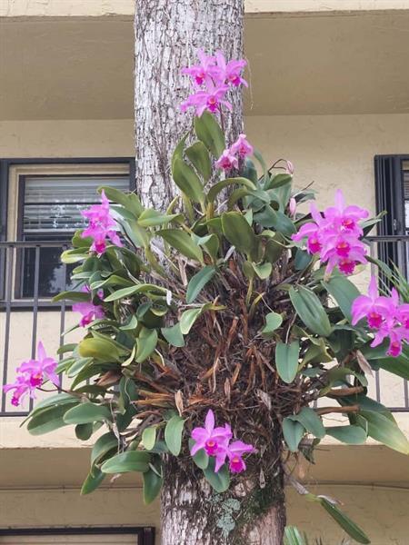 Building Photo - 367 S Federal Hwy