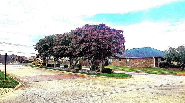 Building Photo - 621 Chestnut Ct