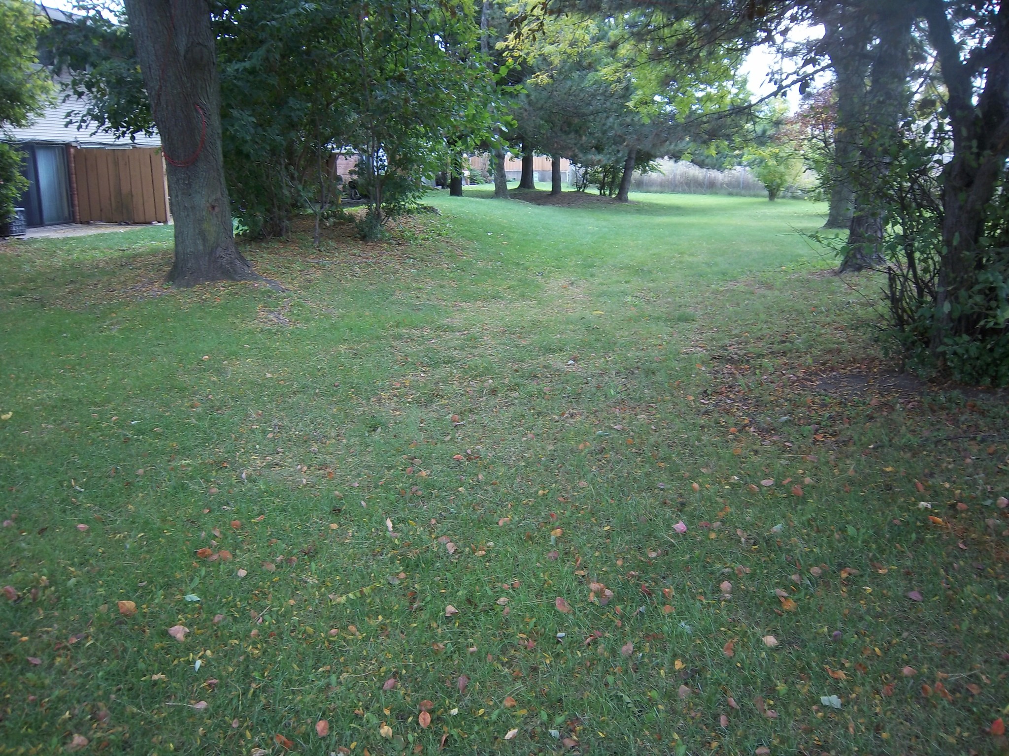 Building Photo - 4377 Doncaster Dr
