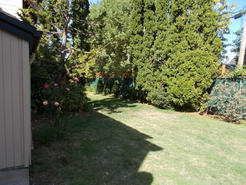 Backyard - 1507 Fetters Loop