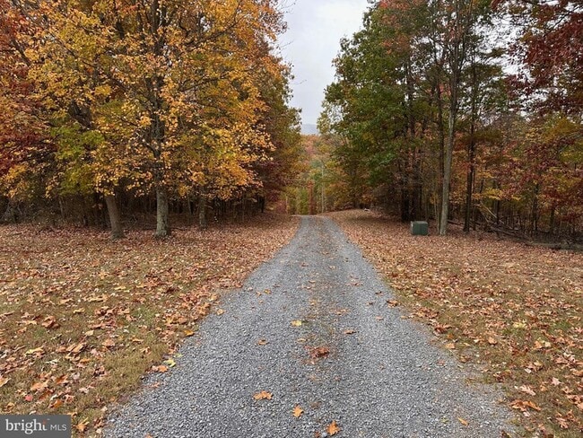 Building Photo - 2289 Potomac Rd