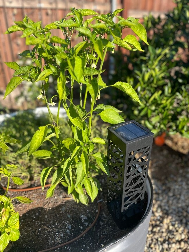 Building Photo - Karin's Kottage-New 2 Bedroom/2 Bath Furnished or Unfurnished Oasis for Lease