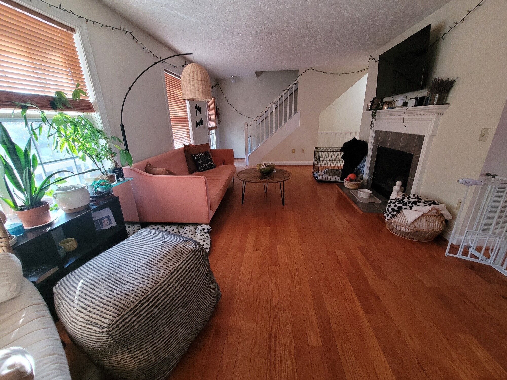 Living Room - 515 Silver Leaf Dr