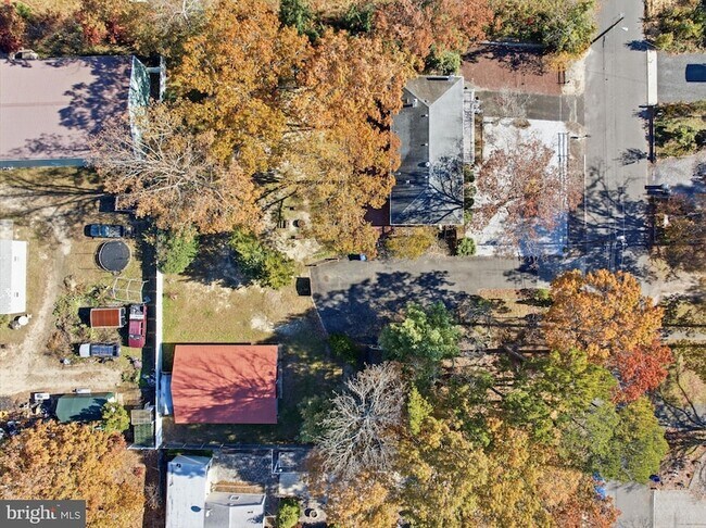 Building Photo - 218 Holly Ave