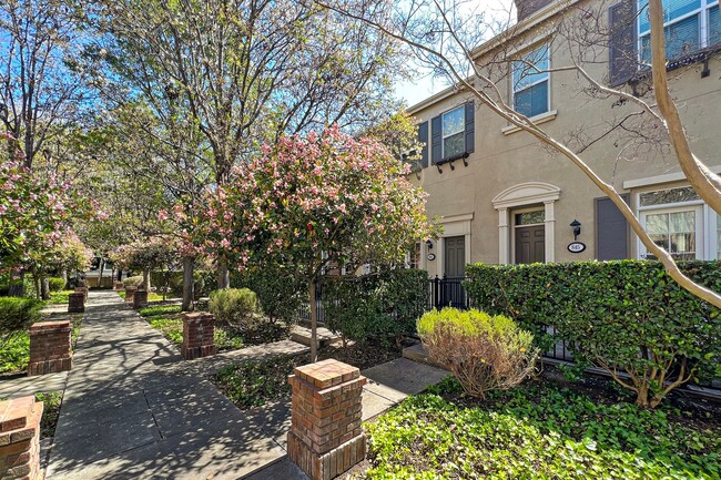 Primary Photo - Spacious Tri-Level Home - Great Downtown S...