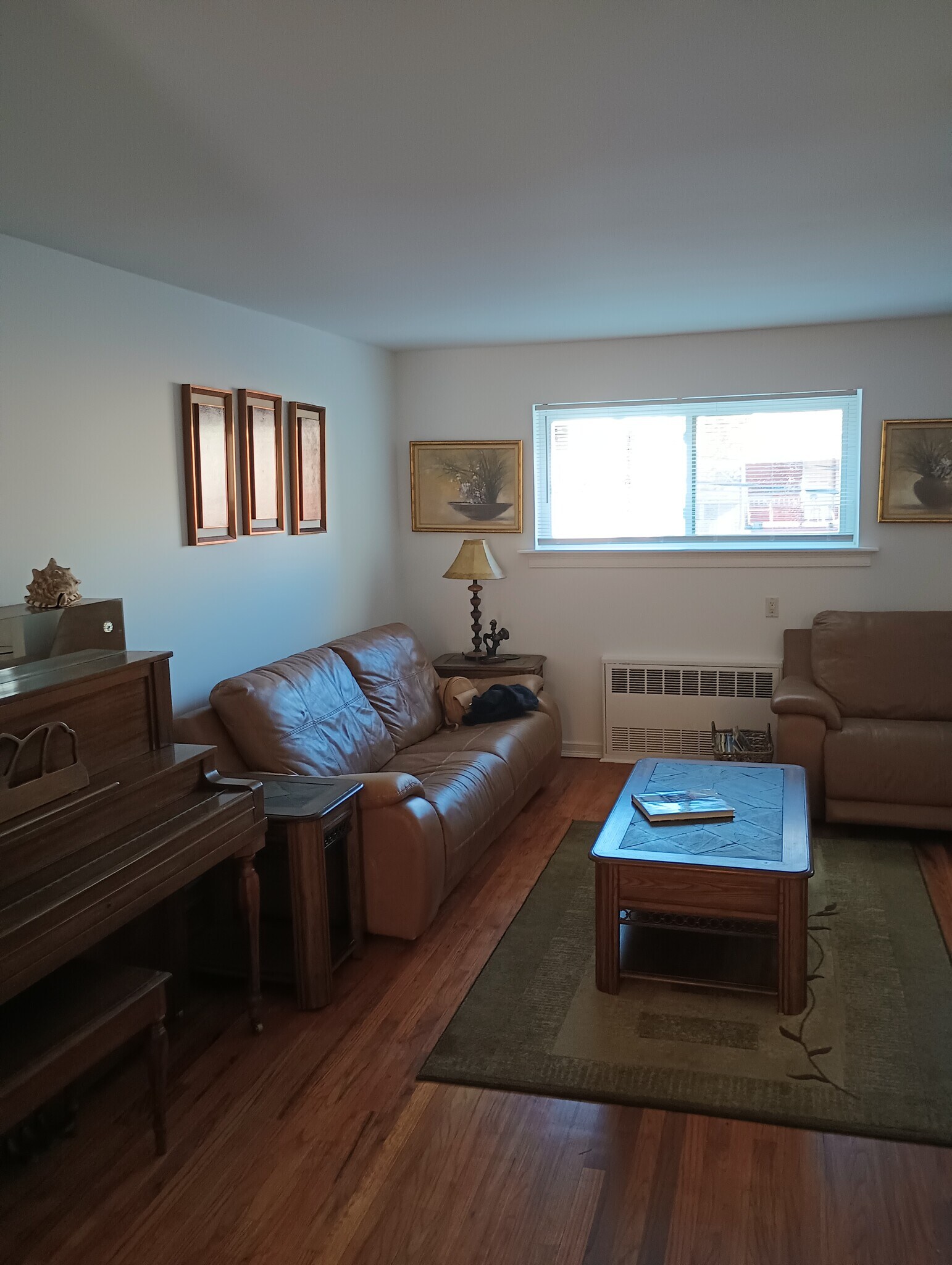 Living room - 819 Brooklyn Ave