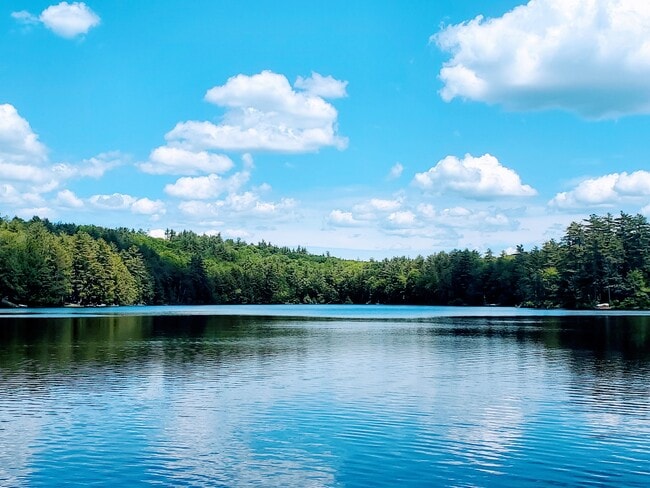 Building Photo - 4 Lk Vw Rd