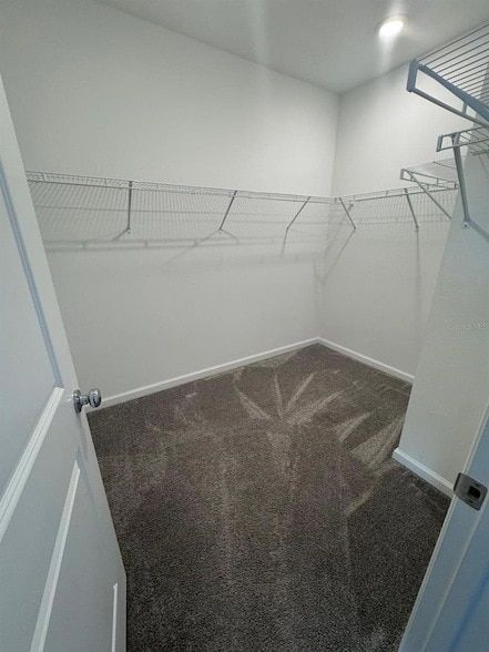 Building Photo - 2667 Skyline Lp