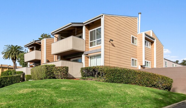 pathfinder village apartments fremont ca apartment finder