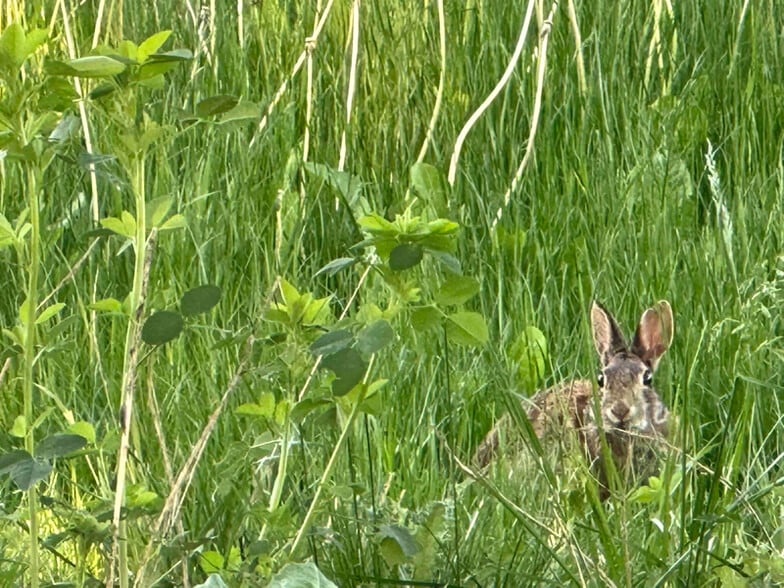 Building Photo - 2815 E Section St