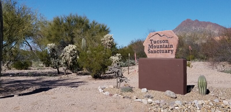 Building Photo - 3307 S Sun Splash Dr