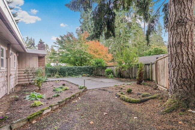 Building Photo - Fully Renovated & Very | Huge Yard | New HVAC | Lease w/ Option to Buy