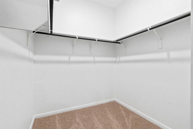 Building Photo - 113 Antrim Cove