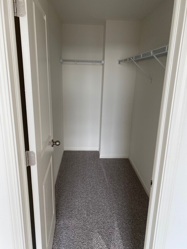 Building Photo - 1300 Catalina Ct