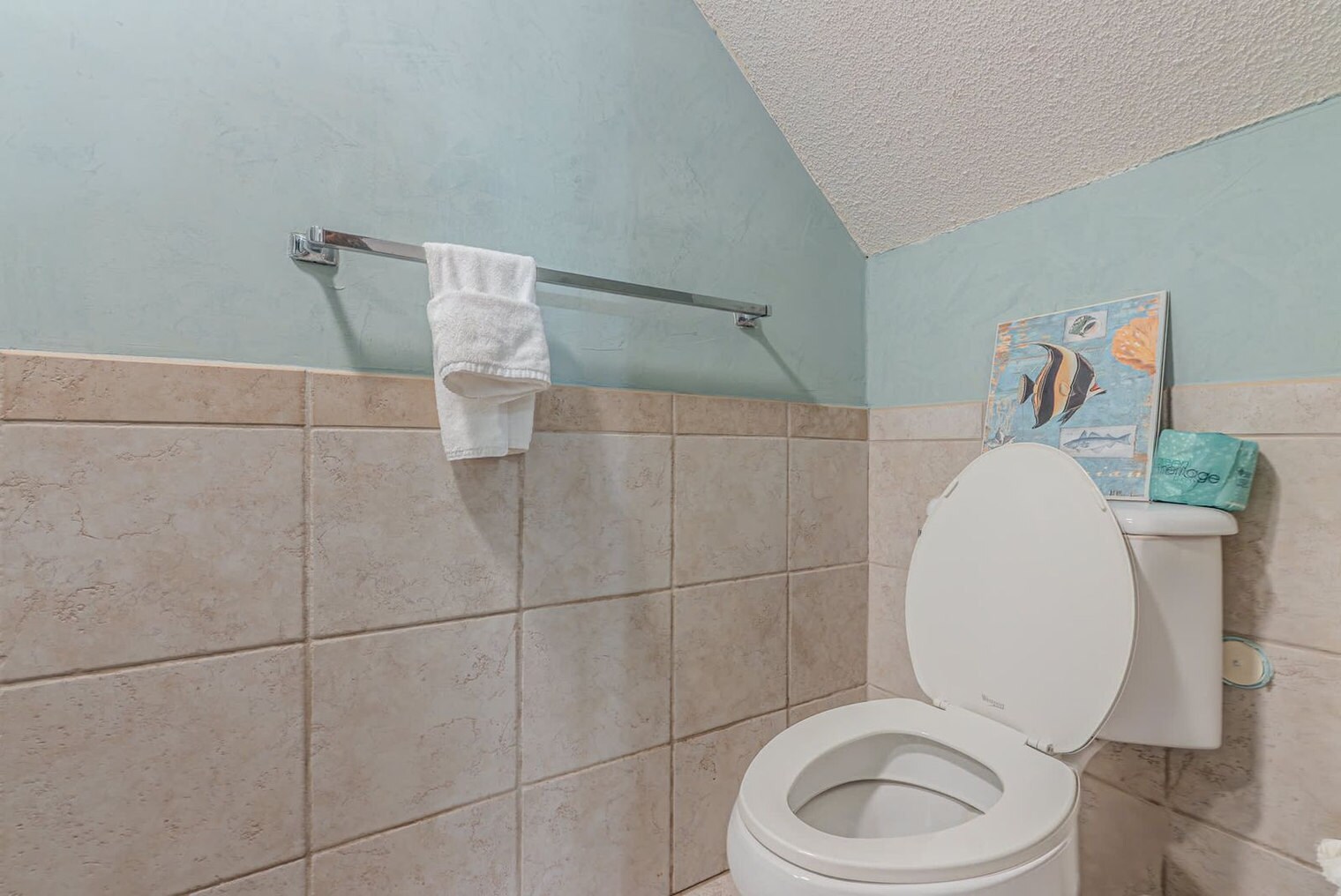 Building Photo - 36 Deallyon Ave