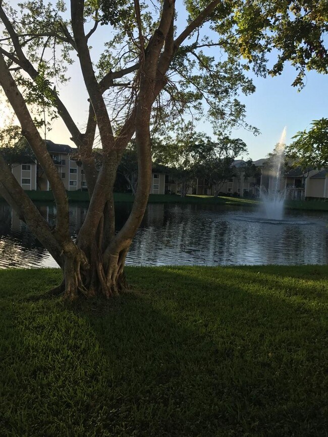 Building Photo - 212 Palm Cir E