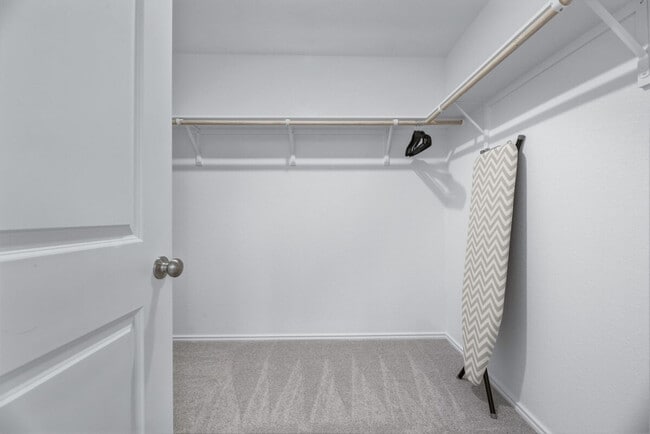 Building Photo - 591 Sormonne Lp