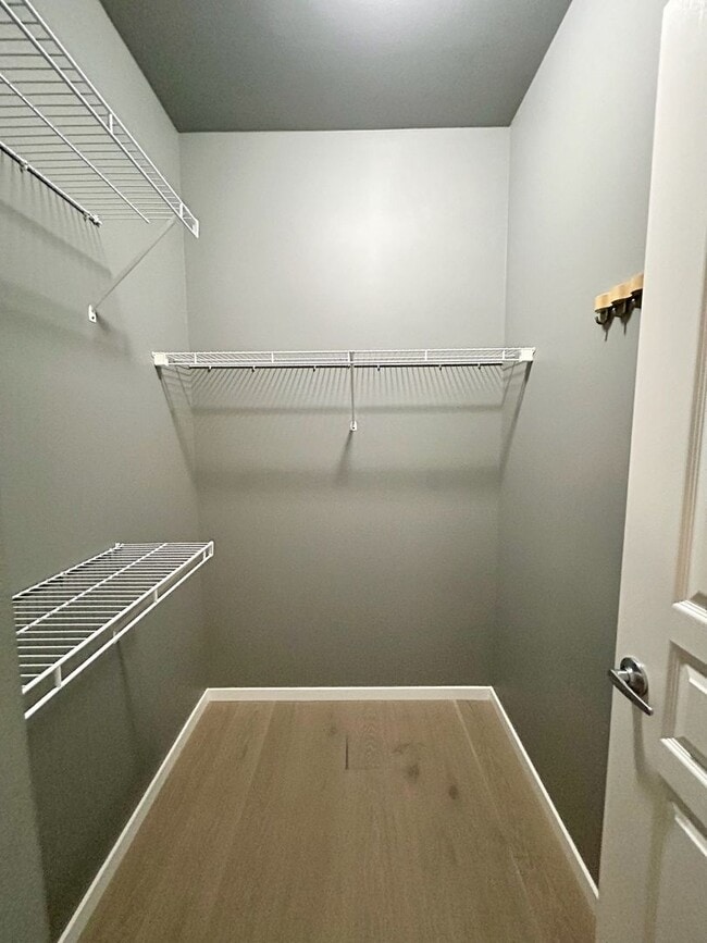 Building Photo - Ellington ~ Belltown Condo