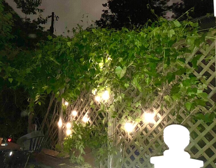 Back patio - 3741 4th St N