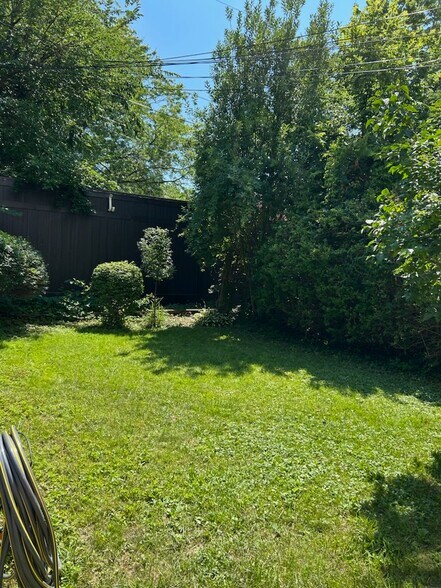backyard - 501 Bird Ave