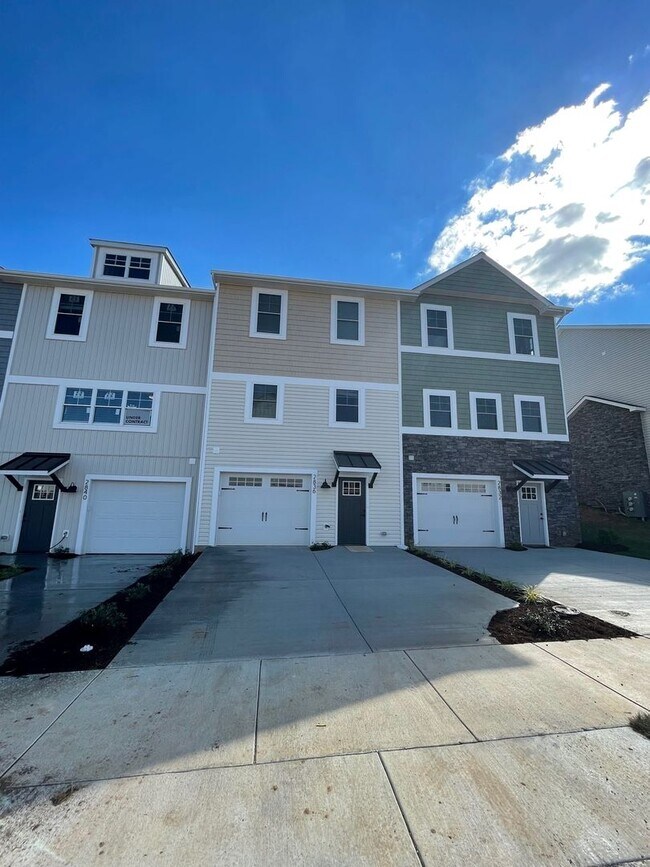 Building Photo - 1308 Palomino Trl