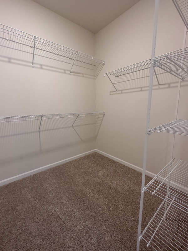 Building Photo - 15013 Camus Ct