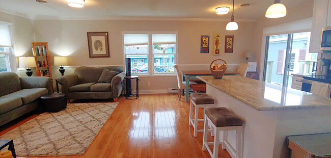 Living area view one, furnished for scale. All counters are granite. - 819 Page St