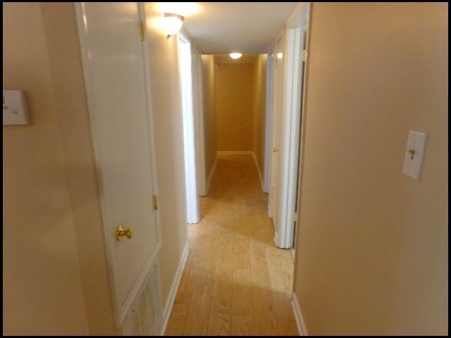 Building Photo - 15 Lillie St