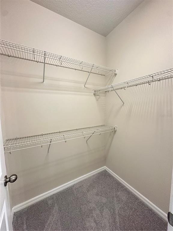 Building Photo - 2516 Annacella Ave