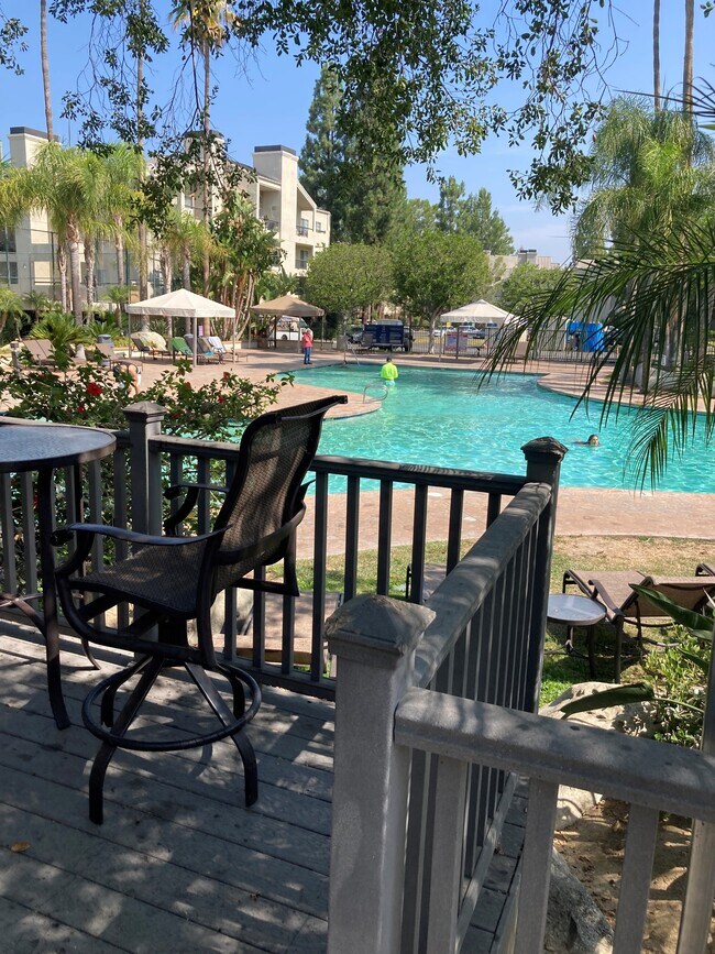 Main pool - 5535 Canoga Ave