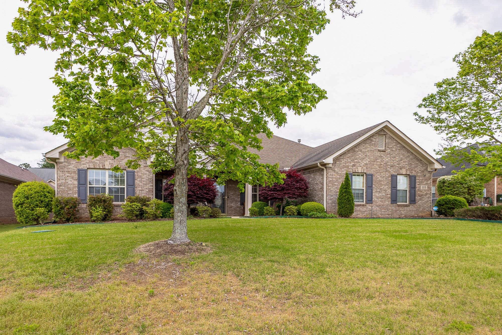 Building Photo - 105 Blanca Dr