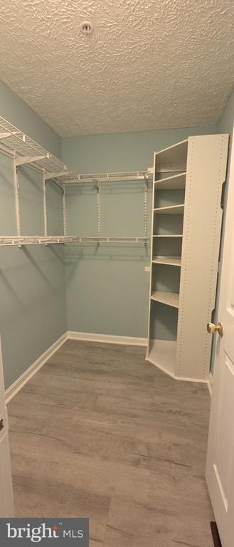 Building Photo - 323 Lindera Ct