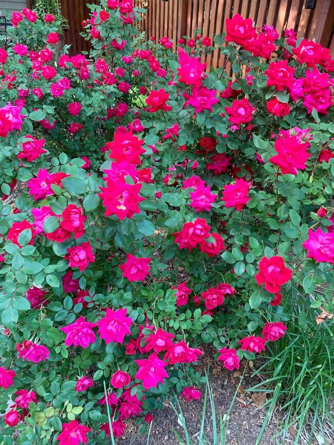 Building Photo - 15 Ferry St