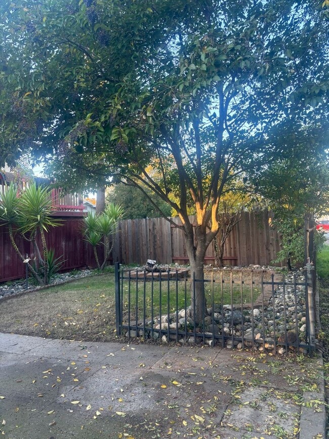 Building Photo - Central Roseville, 1 Bed, 1 Ba, Wall Air, New Carpet & Paint: Large Living Room, Bedroom Downstai...