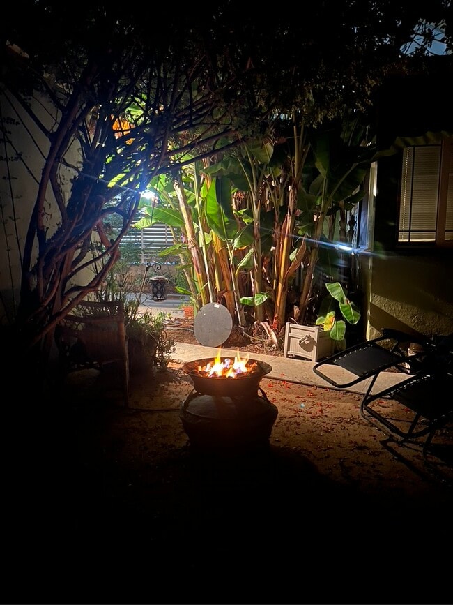 Back Garden Area - 1234 22nd St