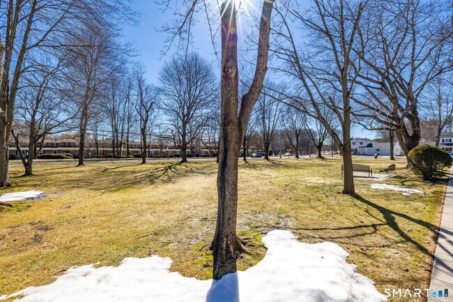 Building Photo - 117 Shadow Ln