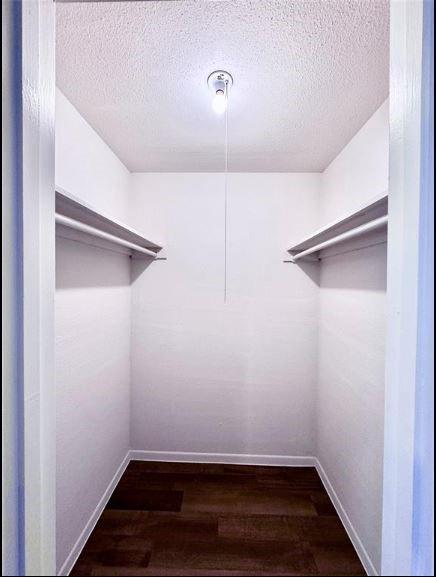 Building Photo - 9110 Gustine Ln