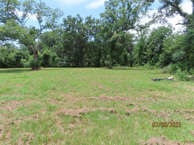 Building Photo - 217 Co Rd 438