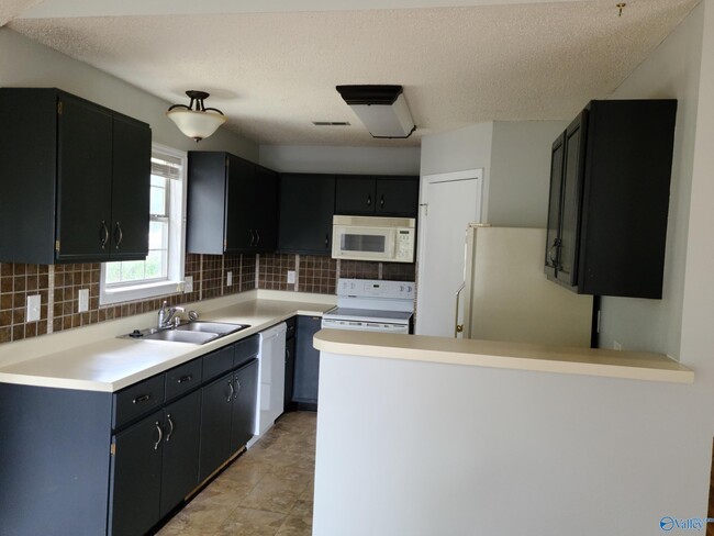 Building Photo - 201 Swallowtail Ln