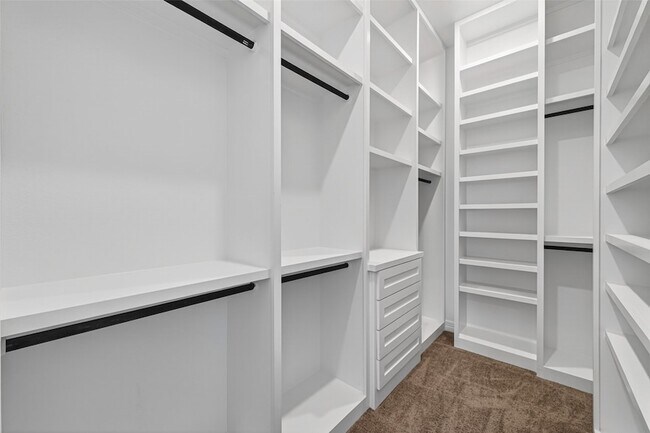 Building Photo - 6602 Albany Forest Ct