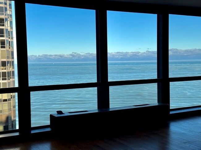 Building Photo - 900 N Lake Shore Dr