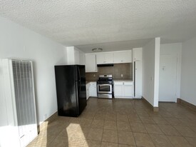 One bedroom kitchen & entrance - 1513 S Arlington Ave